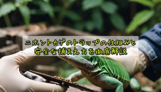 ニホントカゲのトラップの仕組みと安全な捕まえ方を徹底解説