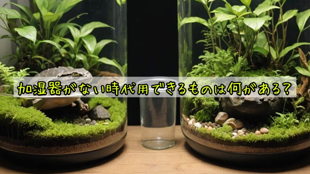 加湿器がない時代用できるものは何がある?