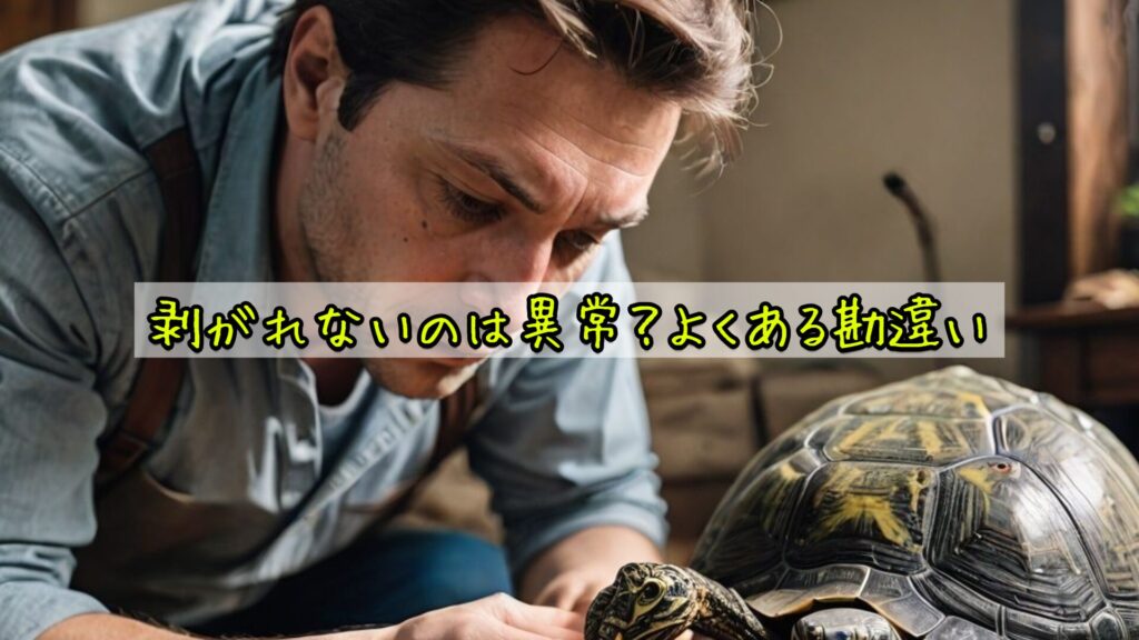 剥がれないのは異常？よくある勘違い