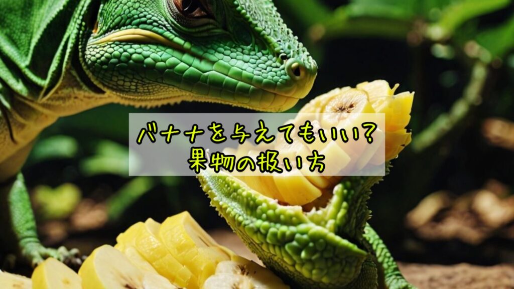 バナナを与えてもいい？果物の扱い方