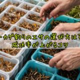 トカゲ釣りのエサの選び方は？成功率が上がるコツ