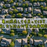 亀は脱走しても戻ってくる？探し方と防止対策を徹底解説