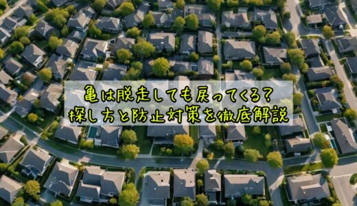 亀は脱走しても戻ってくる？探し方と防止対策を徹底解説