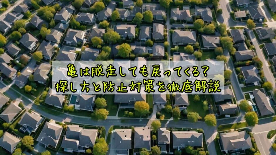 亀は脱走しても戻ってくる？探し方と防止対策を徹底解説