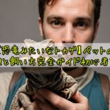 【恐竜みたいなトカゲ】ペットの種類と飼い方完全ガイド初心者向け