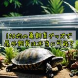 100均で揃える亀飼育の屋外環境は本当に可能?