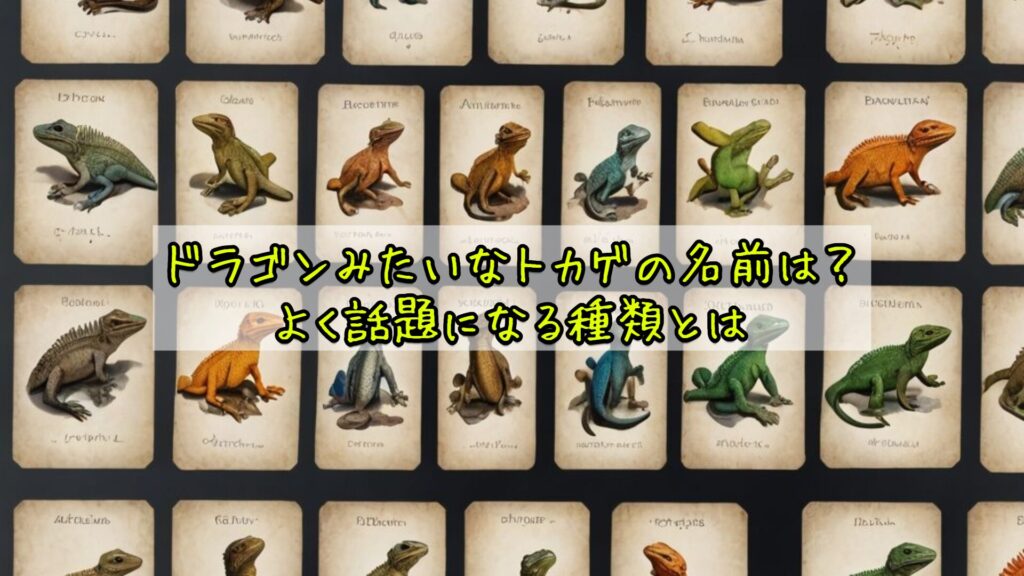ドラゴンみたいなトカゲの名前は？よく話題になる種類とは