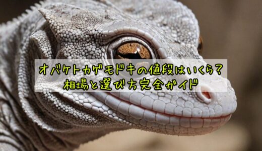 オバケトカゲモドキの値段はいくら？相場と選び方完全ガイド