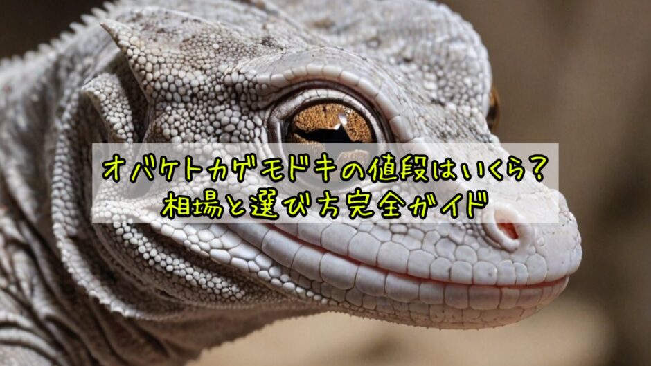 オバケトカゲモドキの値段はいくら？相場と選び方完全ガイド