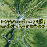 トカゲがいっぱいいる公園！埼玉の場所と見つけ方完全ガイド