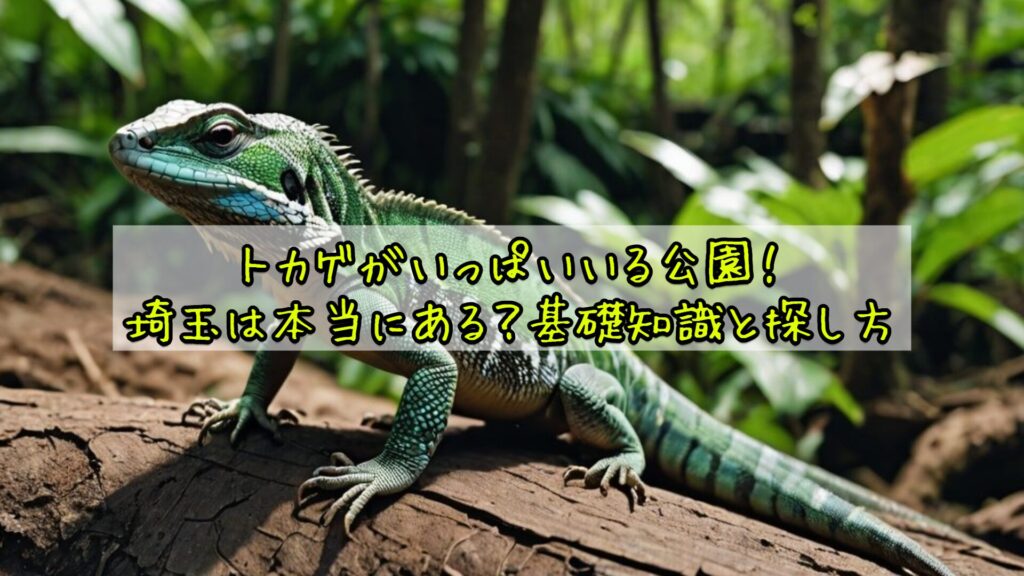 トカゲがいっぱいいる公園！埼玉は本当にある？基礎知識と探し方