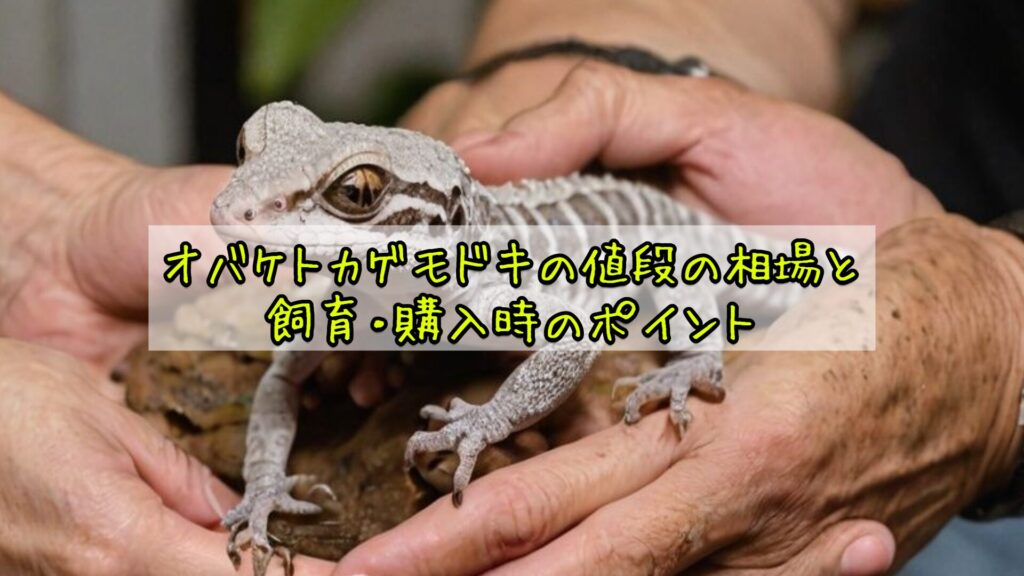 オバケトカゲモドキの値段の相場と飼育・購入時のポイント