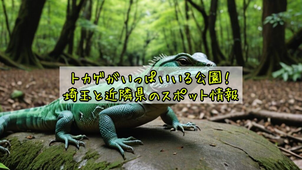 トカゲがいっぱいいる公園！埼玉と近隣県のスポット情報