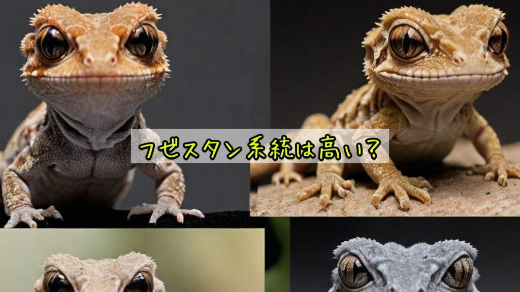 フゼスタン系統は高い？