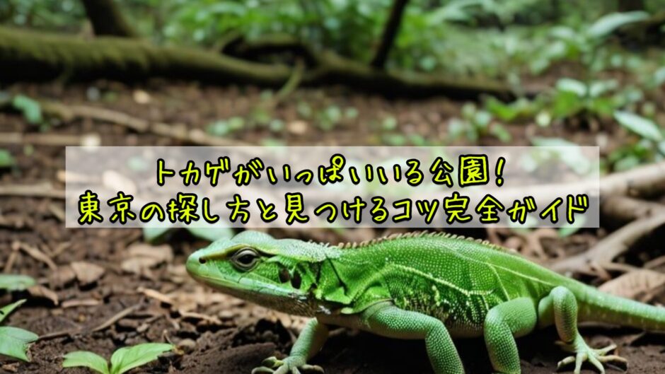 トカゲがいっぱいいる公園！東京の探し方と見つけるコツ完全ガイド