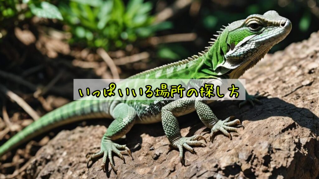 いっぱいいる場所の探し方