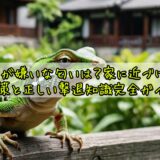 トカゲが嫌いな匂いは？家に近づけない対策と正しい撃退知識完全ガイド