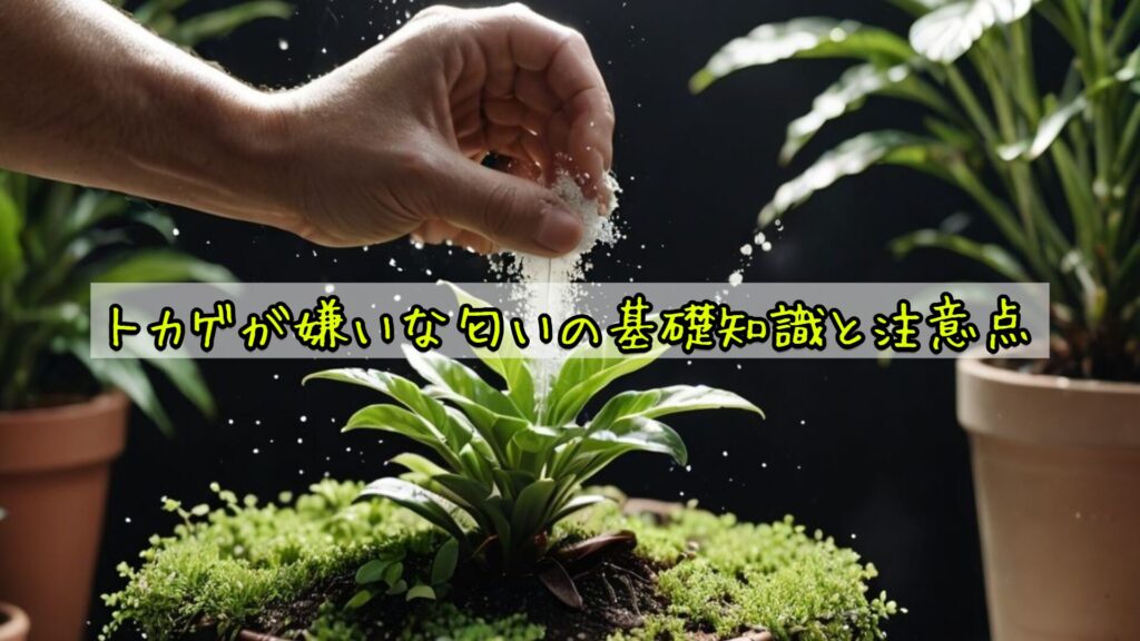 トカゲが嫌いな匂いの基礎知識と注意点