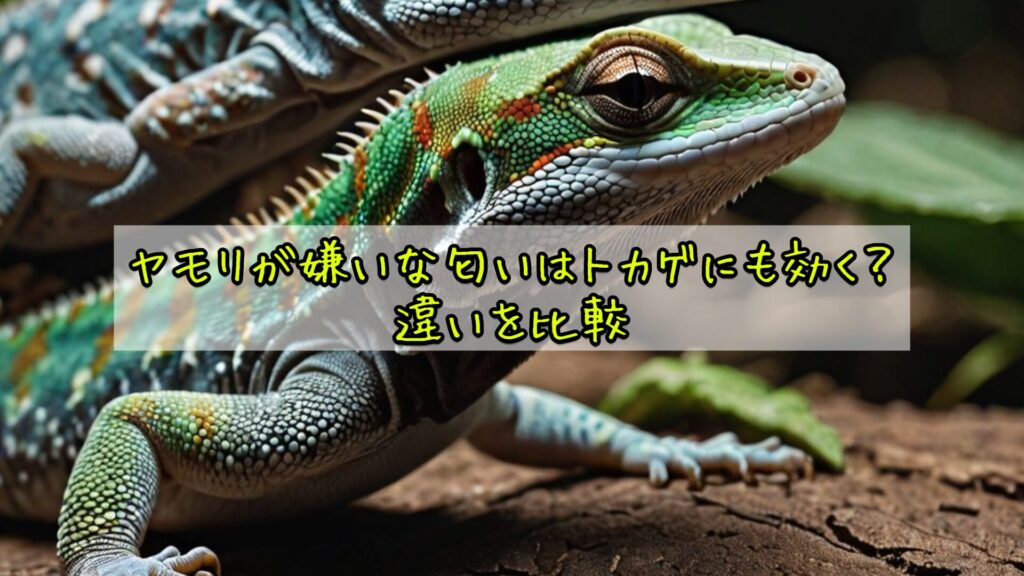 ヤモリが嫌いな匂いはトカゲにも効く？違いを比較