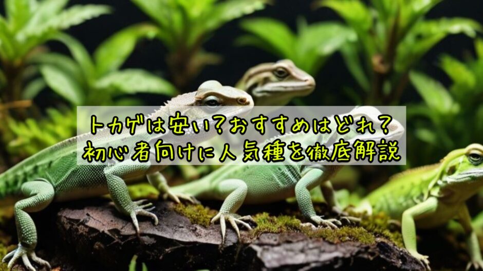 トカゲは安い？おすすめはどれ？初心者向けに人気種を徹底解説
