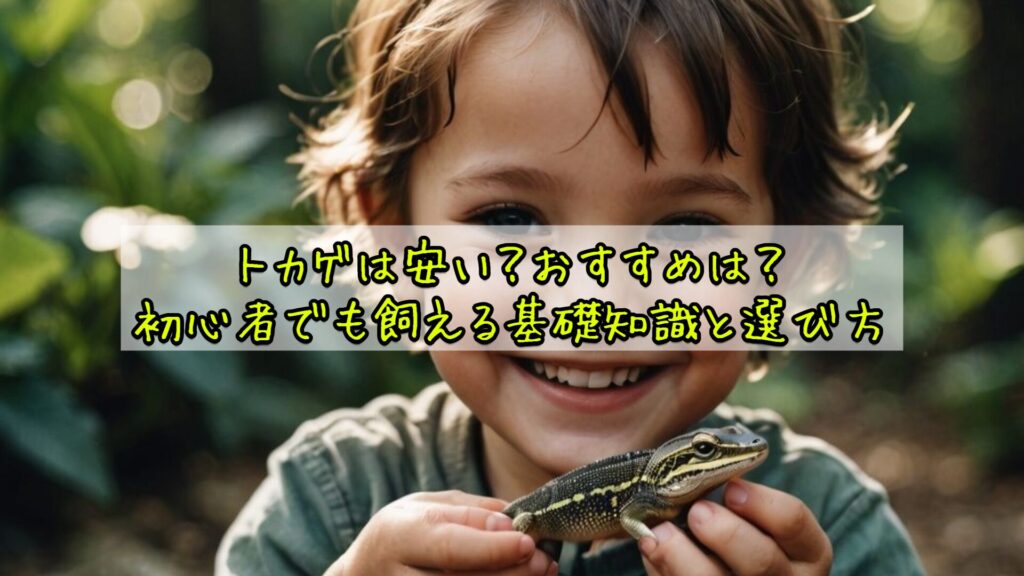 トカゲは安い？おすすめは？初心者でも飼える基礎知識と選び方