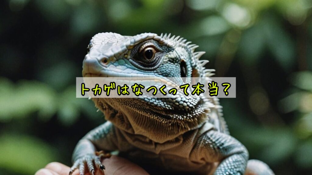 トカゲはなつくって本当？