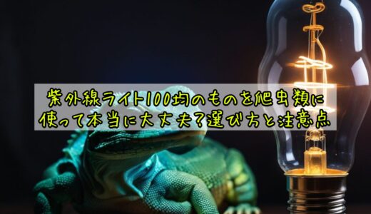 紫外線ライト100均のものを爬虫類に使って本当に大丈夫？選び方と注意点