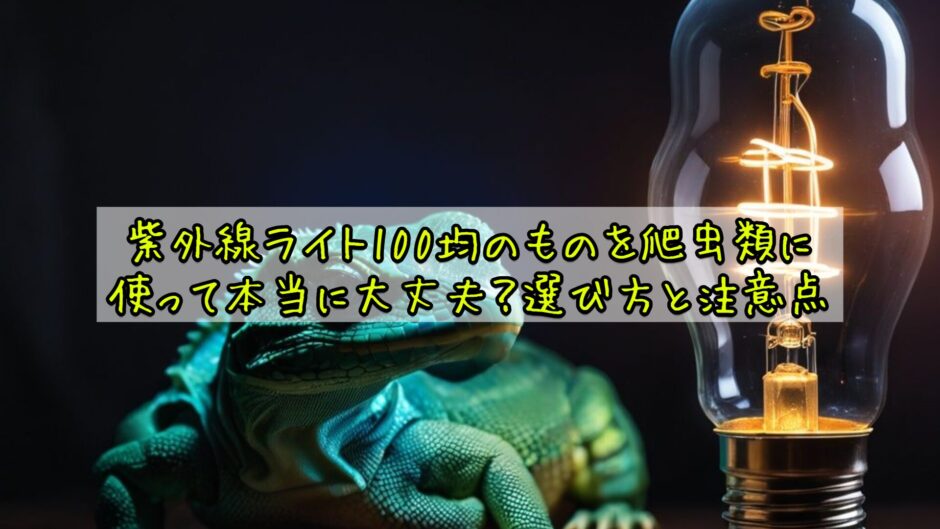 紫外線ライト100均のものを爬虫類に使って本当に大丈夫？選び方と注意点
