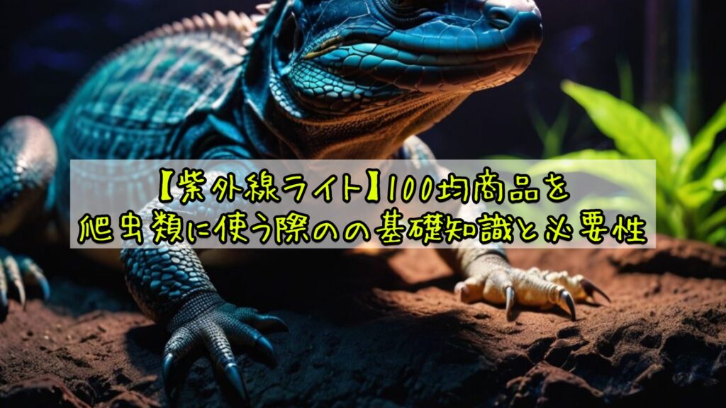 【紫外線ライト】100均商品を爬虫類に使う際のの基礎知識と必要性
