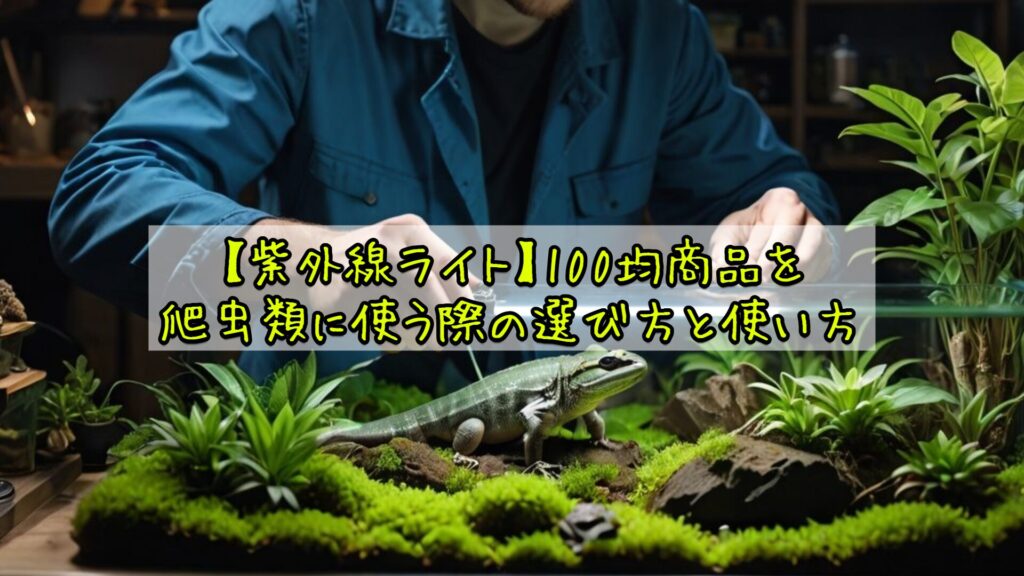 【紫外線ライト】100均商品を爬虫類に使う際の選び方と使い方