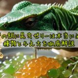 トカゲの餌に昆虫ゼリーは本当に必要？種類と与え方を徹底解説