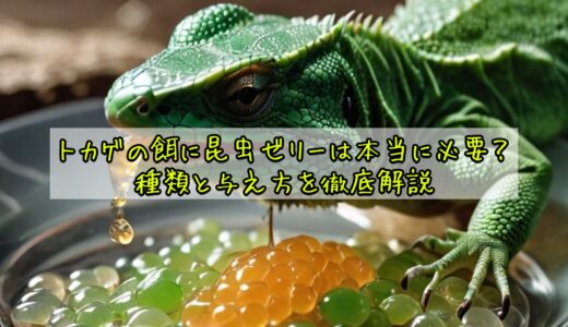 トカゲの餌に昆虫ゼリーは本当に必要？種類と与え方を徹底解説
