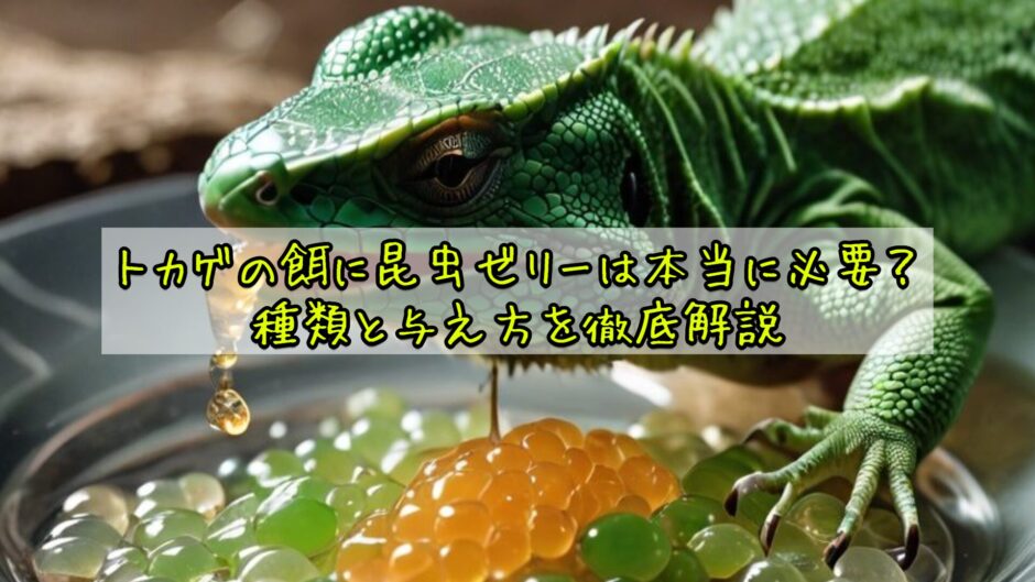 トカゲの餌に昆虫ゼリーは本当に必要？種類と与え方を徹底解説