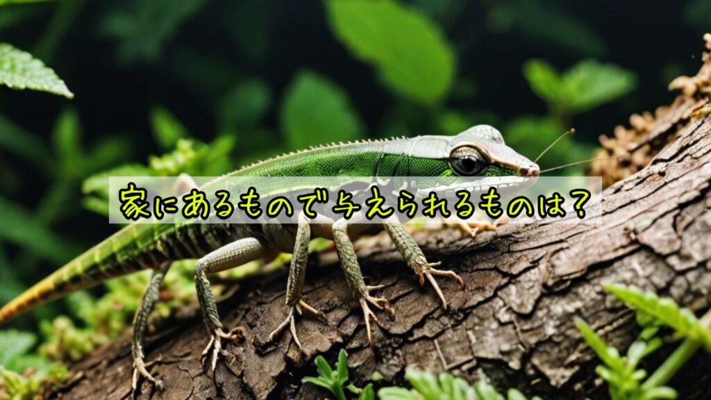 家にあるもので与えられるものは？