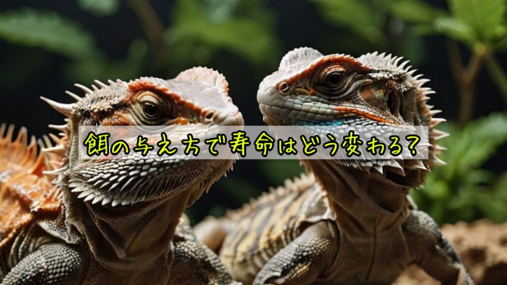 餌の与え方で寿命はどう変わる？