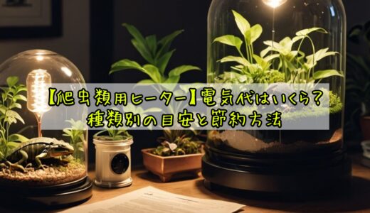 【爬虫類用ヒーター】電気代はいくら？種類別の目安と節約方法