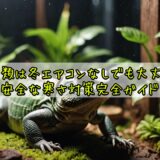 爬虫類は冬エアコンなしでも大丈夫？安全な寒さ対策完全ガイド