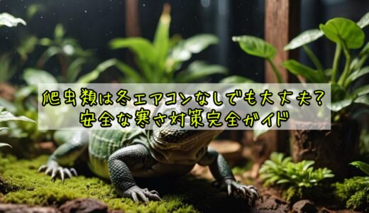 爬虫類は冬エアコンなしでも大丈夫？安全な寒さ対策完全ガイド