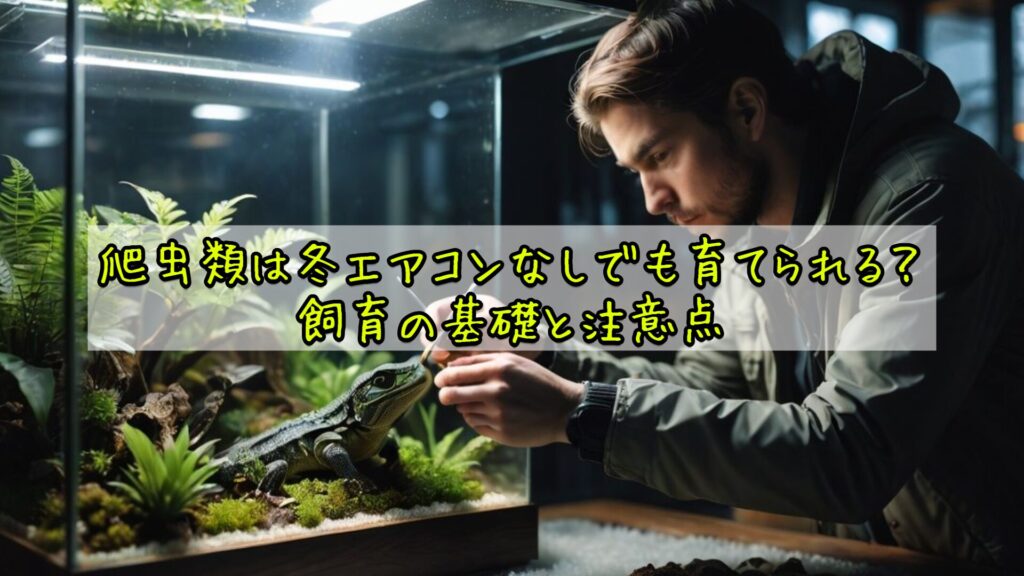 爬虫類は冬エアコンなしでも育てられる？飼育の基礎と注意点