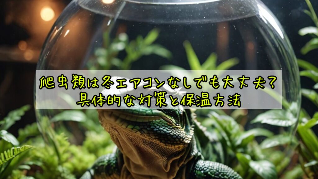 爬虫類は冬エアコンなしでも大丈夫？具体的な対策と保温方法