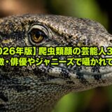 【2026年版】爬虫類顔の芸能人30選！男女の特徴・俳優やジャニーズで囁かれているのは？