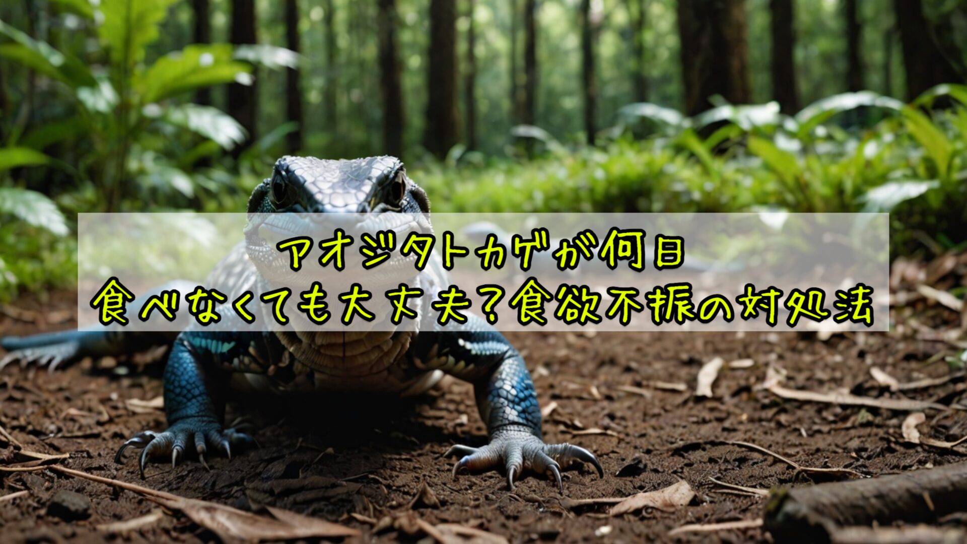 アオジタトカゲが何日食べなくても大丈夫？食欲不振の対処法