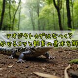 アオジタトカゲはなつく？懐かせるコツと飼育の基本を解説