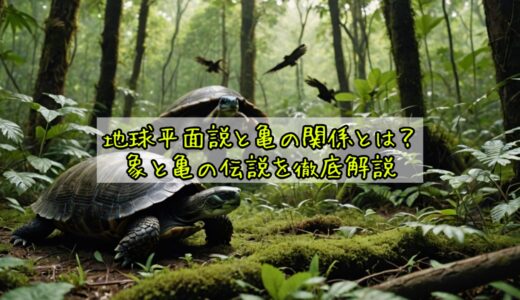 地球平面説と亀の関係とは？象と亀の伝説を徹底解説