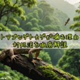 フトアゴヒゲトカゲが噛む理由と対処法を徹底解説