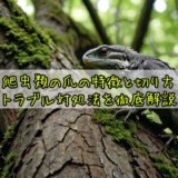 爬虫類の爪の特徴と切り方・トラブル対処法を徹底解説