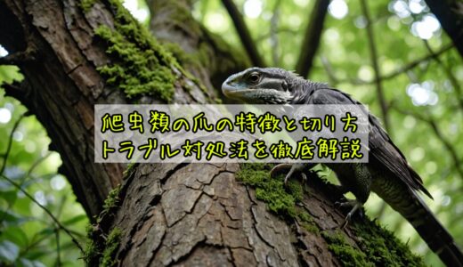 爬虫類の爪の特徴と切り方・トラブル対処法を徹底解説