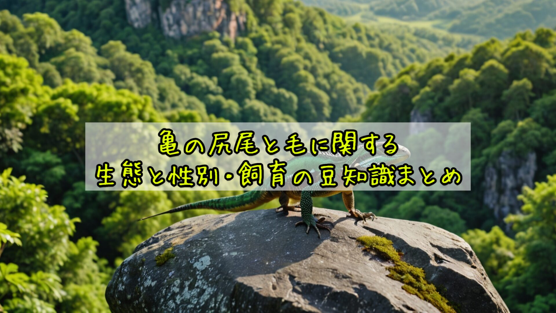 亀の尻尾と毛の生態・性別・飼育豆知識