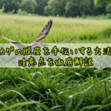 トカゲの脱皮を手伝いする方法と注意点を徹底解説