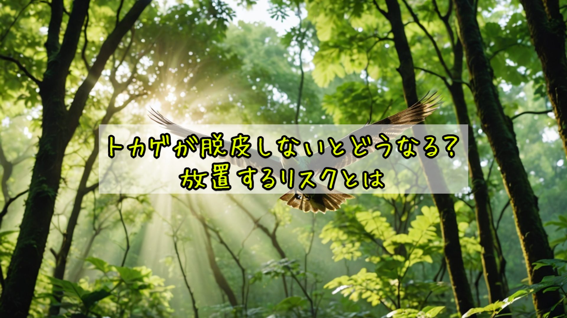 トカゲが脱皮しないとどうなる？放置するリスクとは